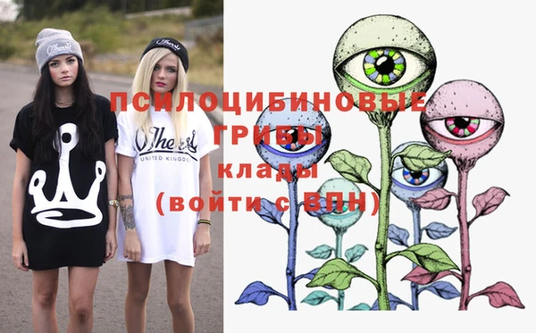 MDMA Козловка