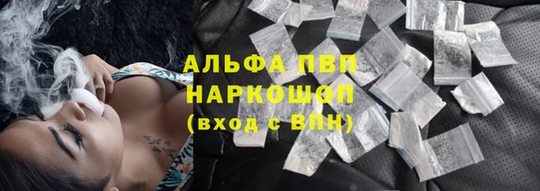 амф Коряжма