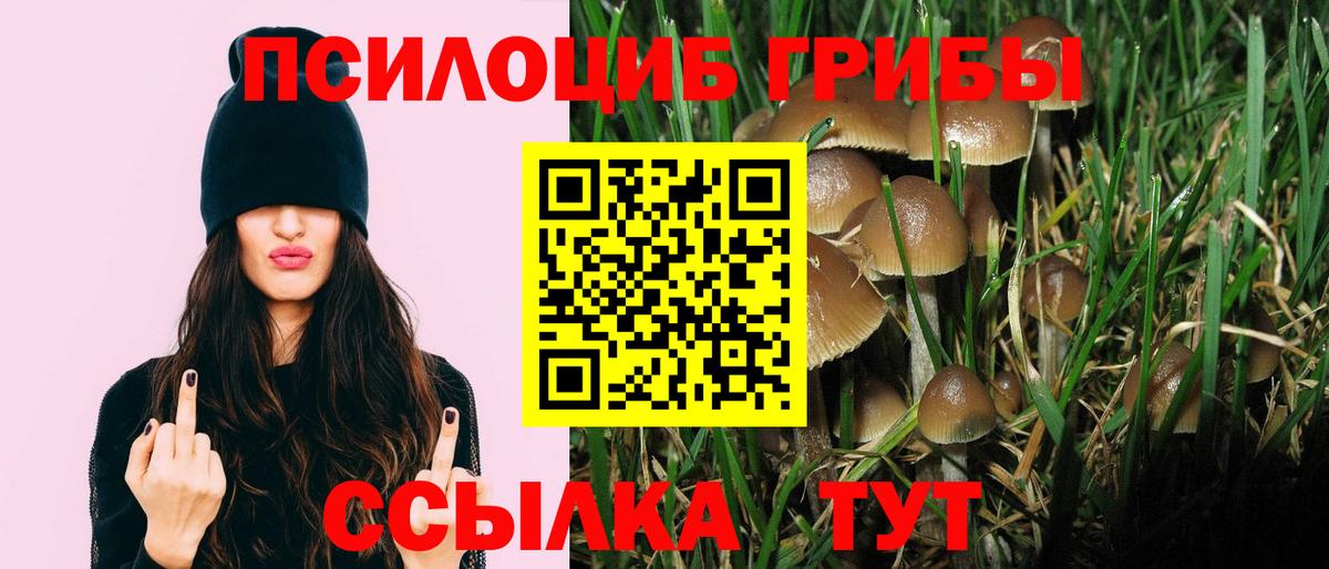 Галлюциногенные грибы Psilocybe  Вход с VPN  Псилоцибиновые грибы мицелий  Тутаев 